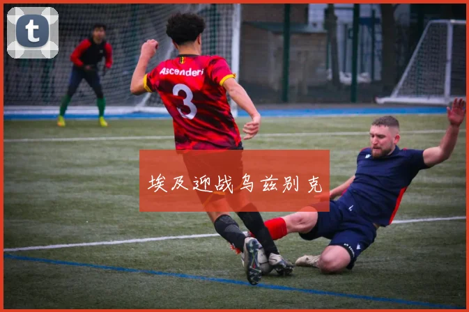 埃及迎战乌兹别克