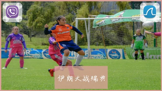 伊朗大战瑞典