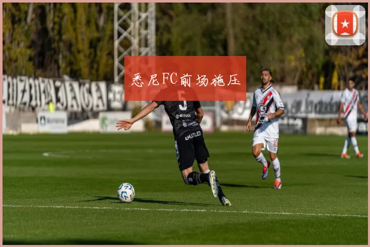 悉尼FC前场施压