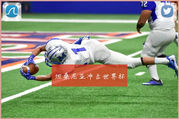 坦桑尼亚冲击世界杯